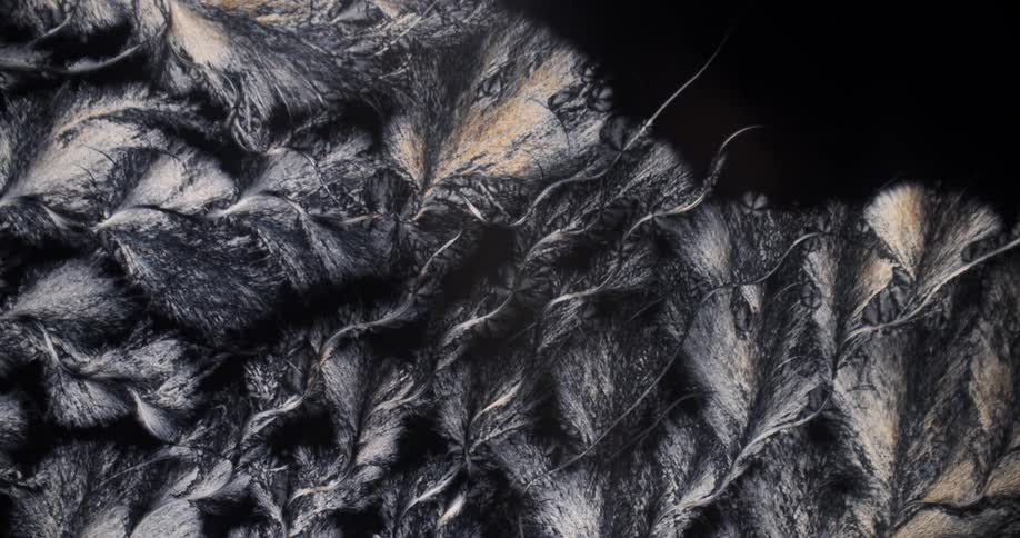 Abstract expanding crystals of chemical under the microscope