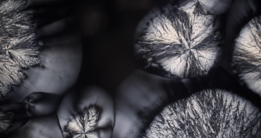 Microscope view of growing liquid crystals on black background