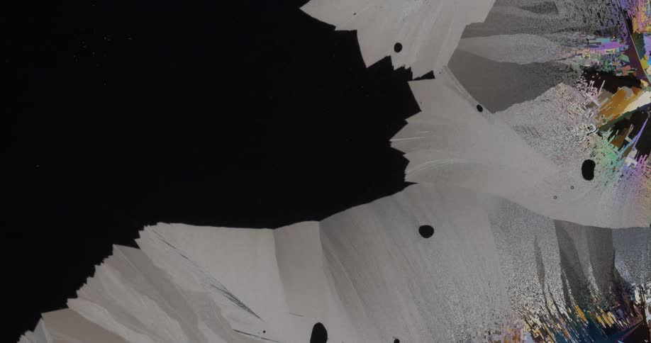 Fluid crystals forming abstract shapes under microscope