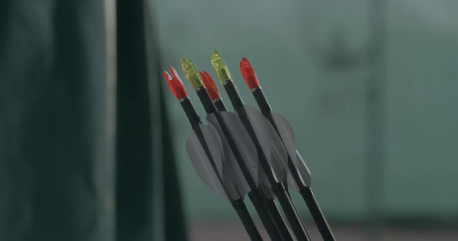 An archers arrows are together in a quiver