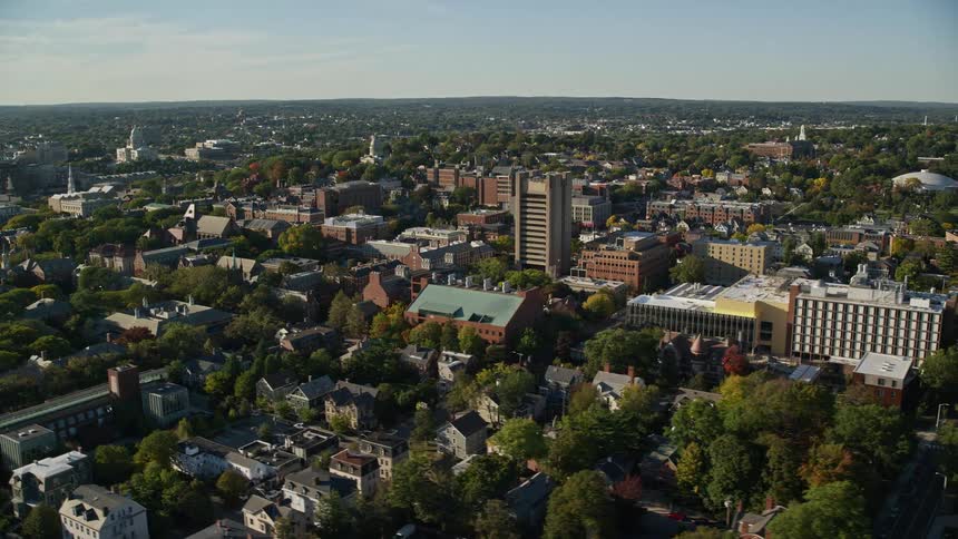 The town has many trees and homes