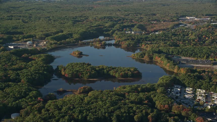 A small lake surrounded by forest