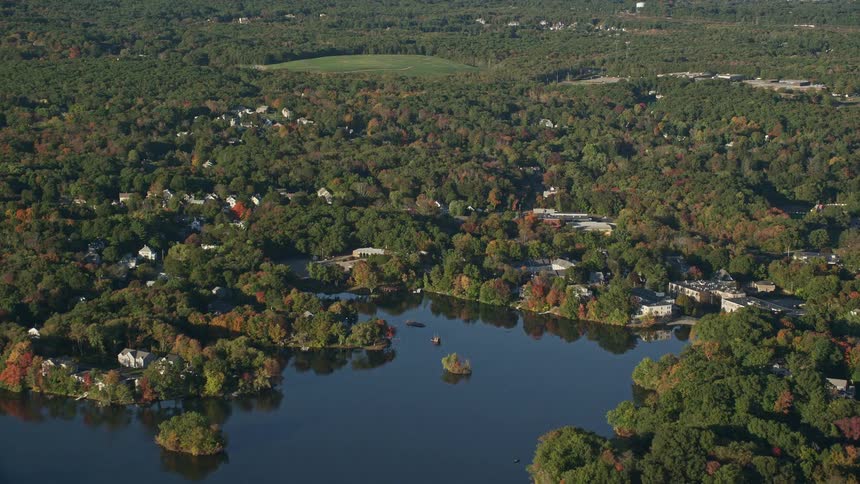 A rural region with a reflective lake and a huge forest