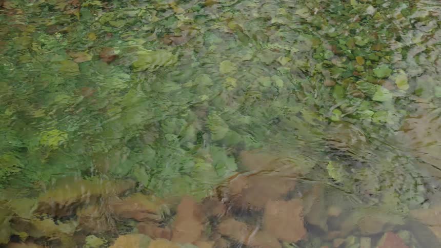 View of a river with rocks and calm flowing water
