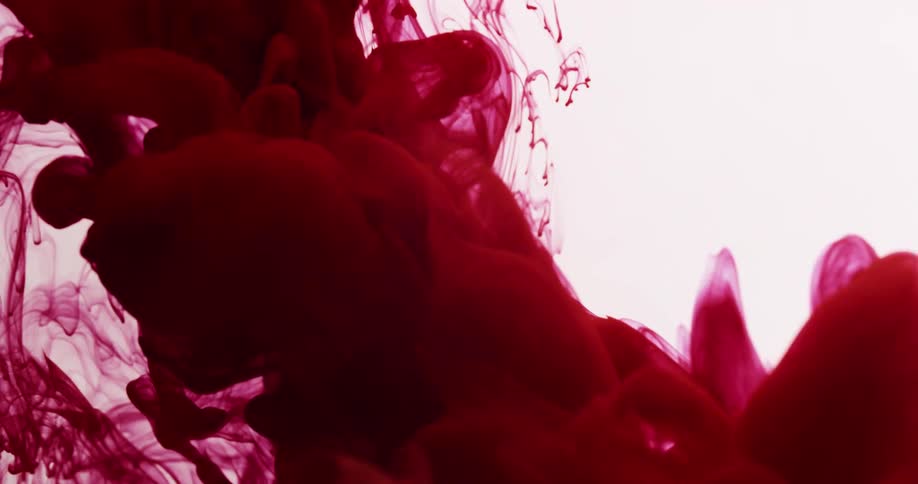 Cloud of deep dark red ink flows down on a white background
