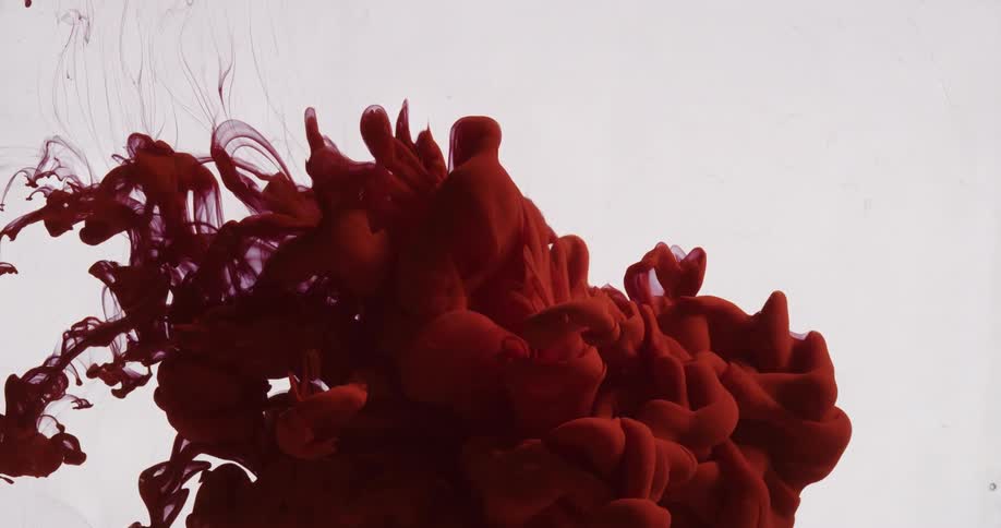 Abstract red ink fluid in motion on a white background