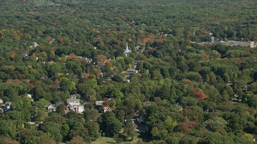 Houses in residential neighborhoods in a heavily wooded area with a steeple standing above the trees