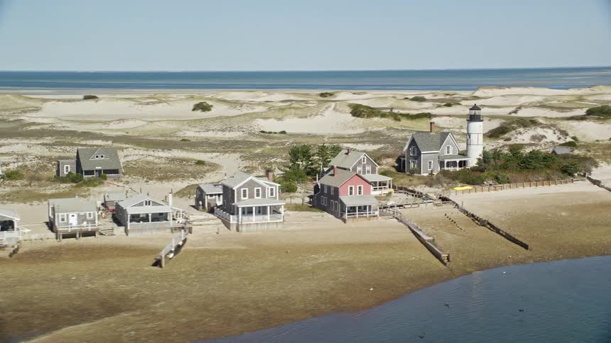 Birds fly over the shore by the homes