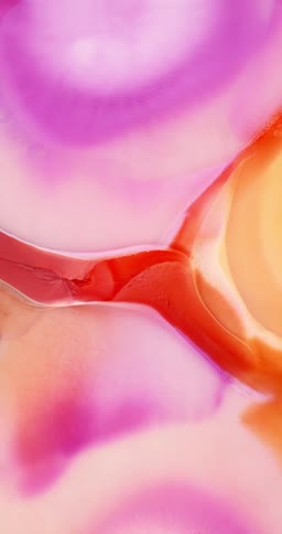 Smoothly flowing abstract inks on a vertical background