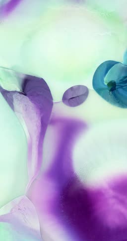 Smoothly flowing abstract inks on a vertical background