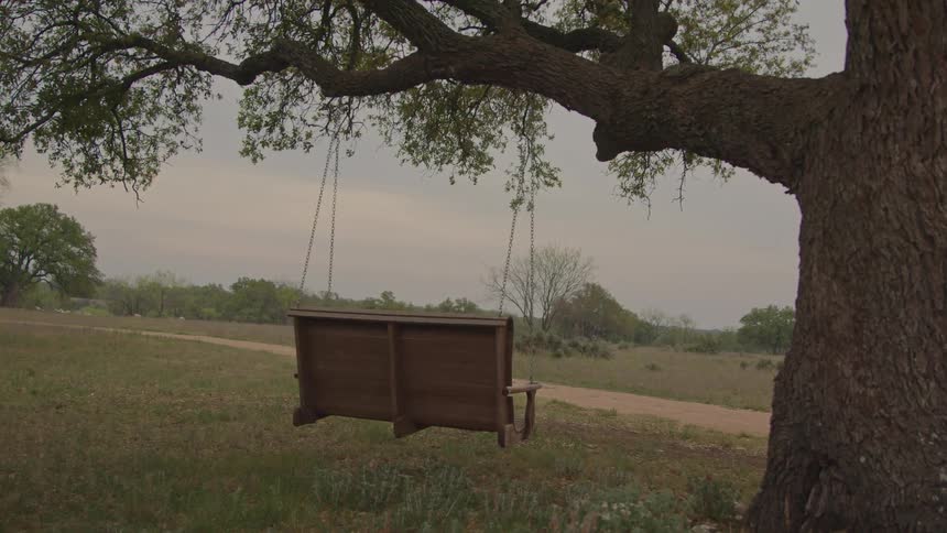 A swing hanging from the branch of a large tree swings in the breeze as it overlooks a rural dirt road