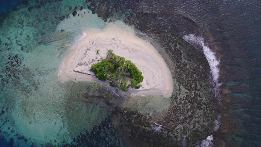 Aerial of a bunch of trees on a small land in the middle of the sea