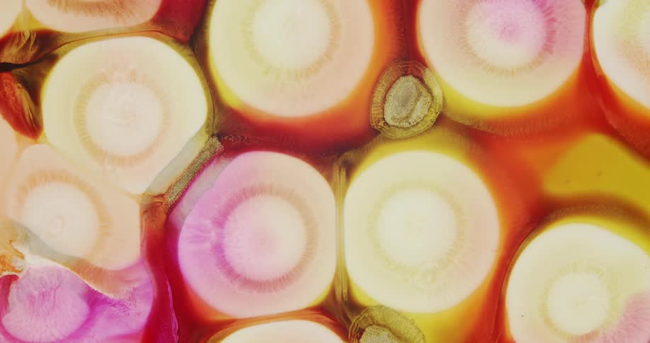 Background of expanding abstract circles of liquid inks