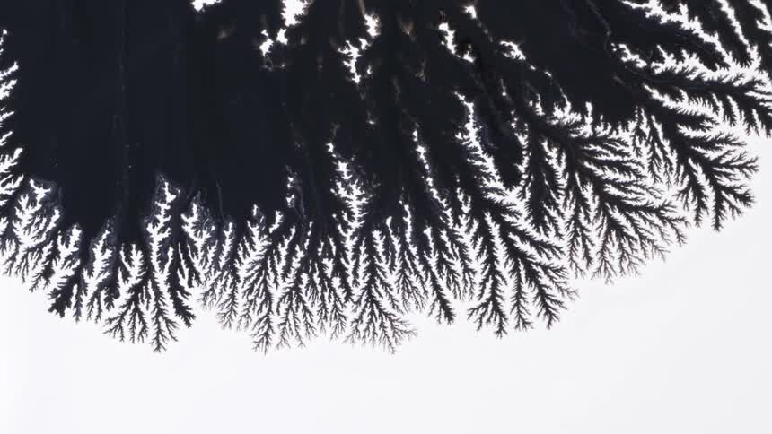 Black ink spreads across white background branching out at the ends