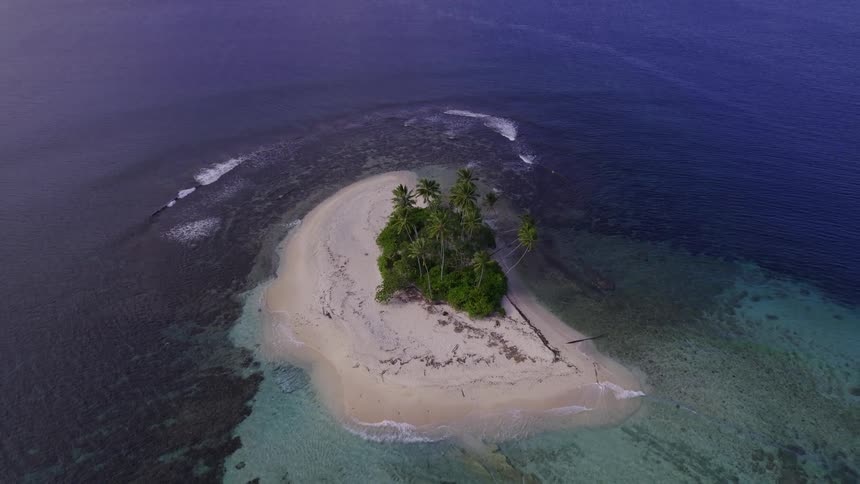 Aerial of a small island with palm trees in the middle of the ocean