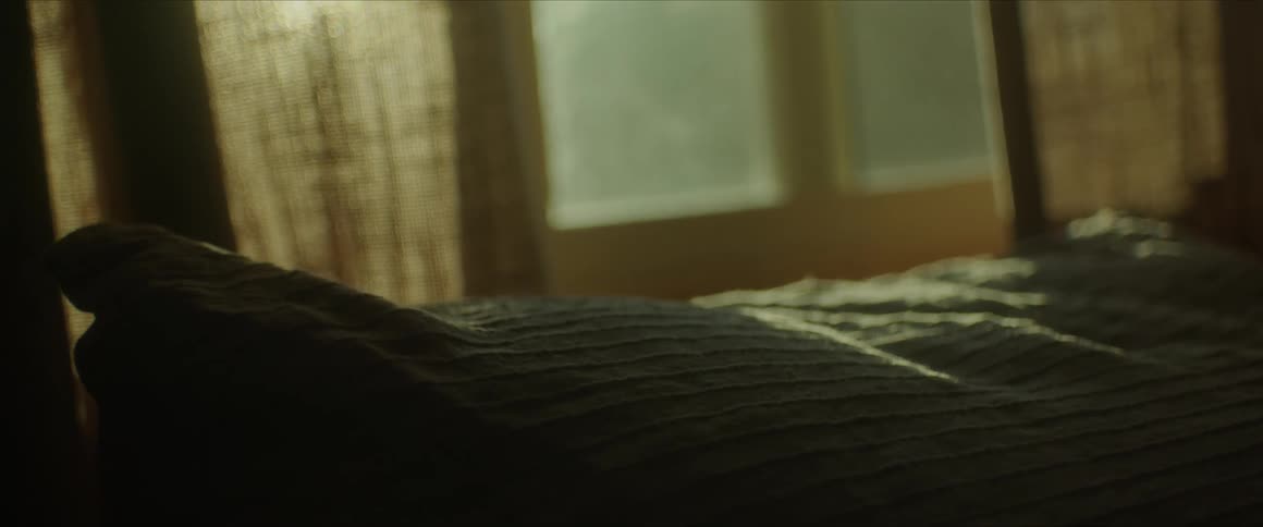 A pillow bathed in sunlight streaming through the window
