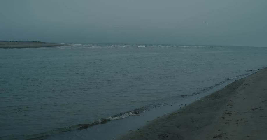 Beach coasted with calm sea at dusk