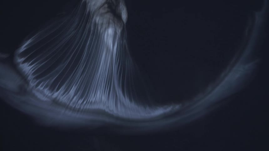 An illuminated organic substance moves as glowing threads stretch downward