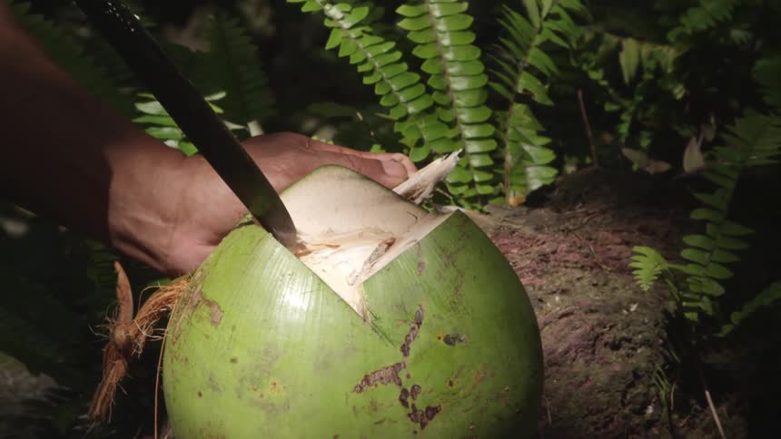 A person is cutting a coconut with a blade