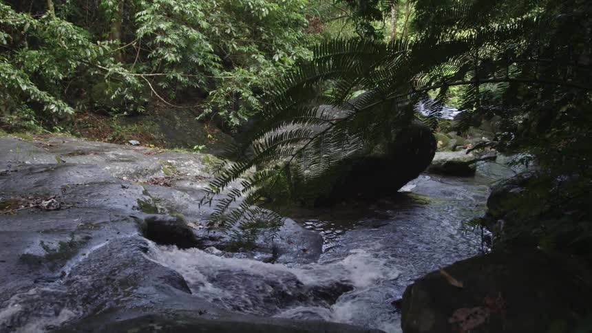 Water rushing through rocks surrounded by trees