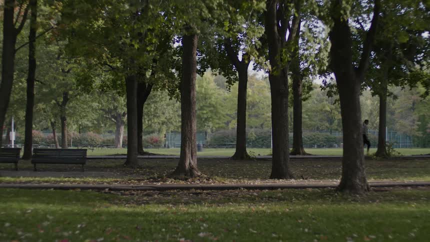 A person walking in a park with a bench covered with trees
