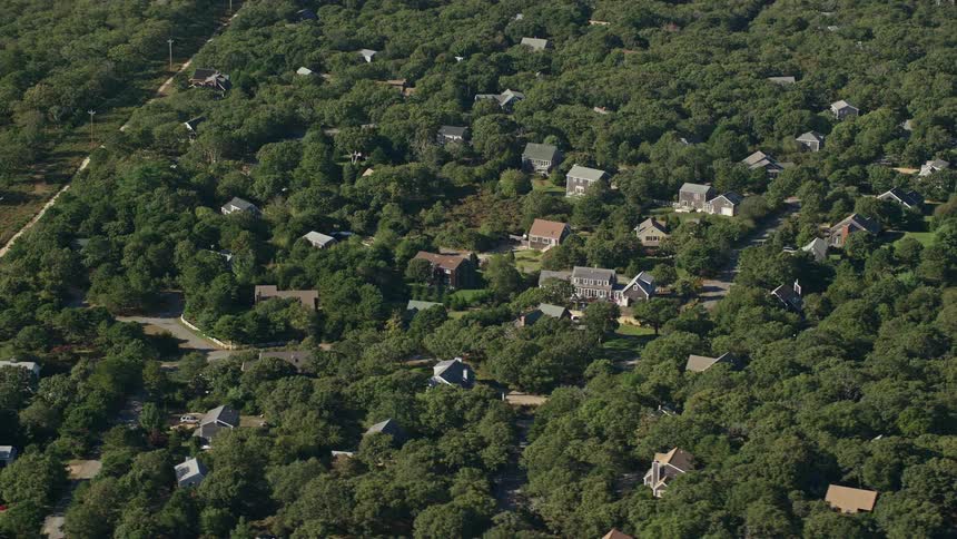 The homes are scattered in the trees
