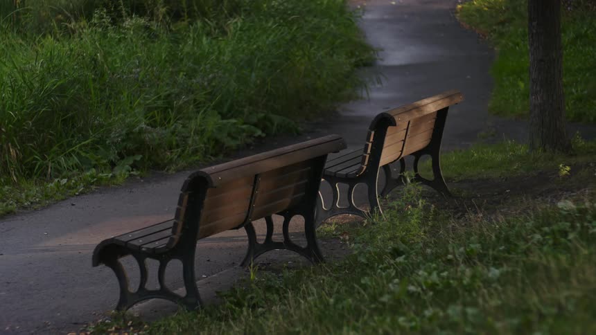 Two wooden benches facing a gravel path and vegetation on the sides