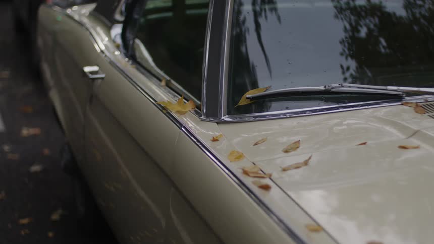 A beige car with tree leaves that have fallen on its bodywork