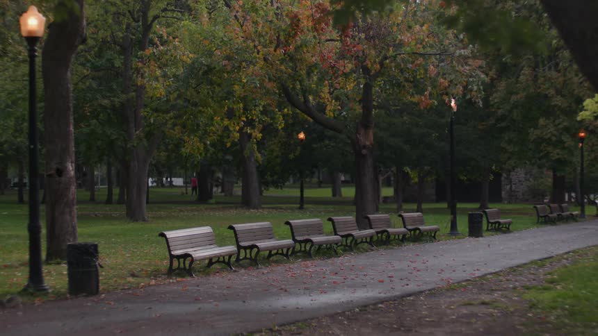 A squirrel walks through the park