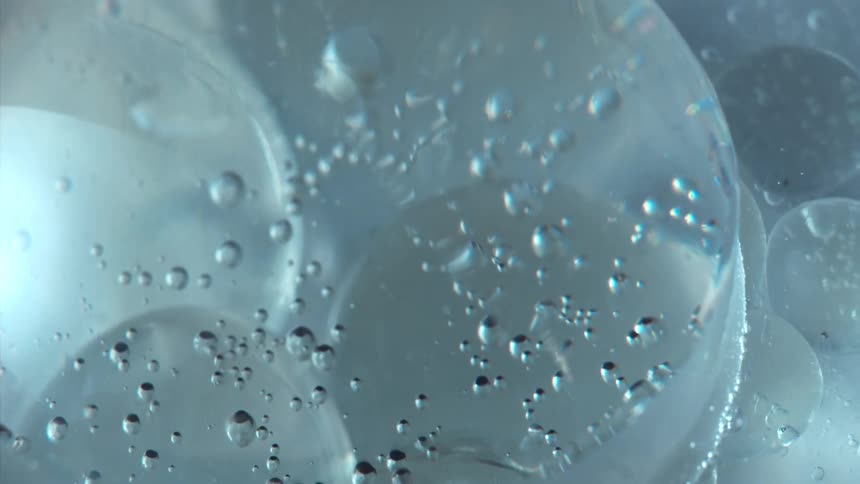 Air bubbles floating under ice