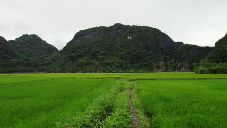 A lush green field leads to mountains ahead