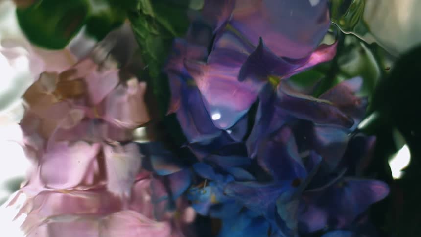 A reflection of a flower seen through a distorted water flow