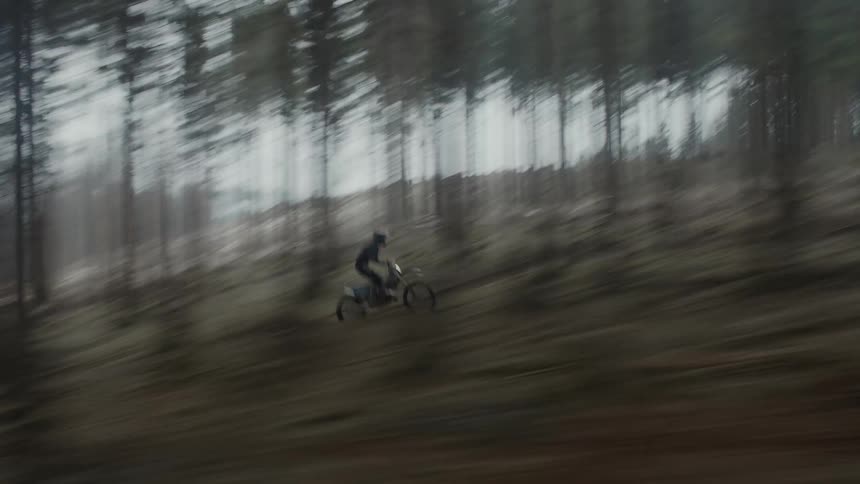 Person riding motorcycle in a forest at dusk