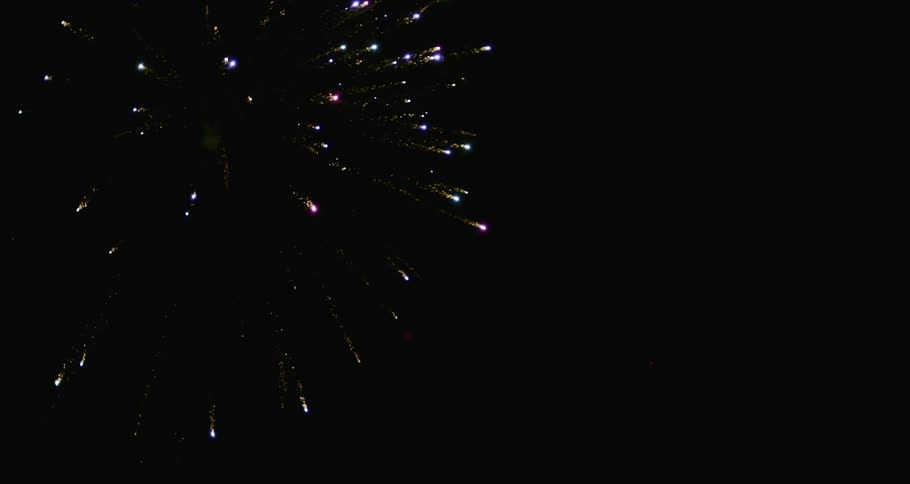 Fireworks exploding in the nights sky