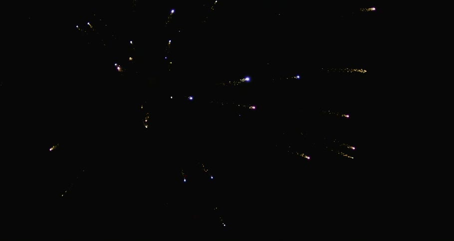 Fireworks bursting in the dark sky