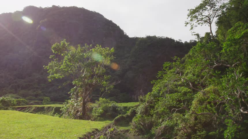 A small body of water among grass, trees and mountains