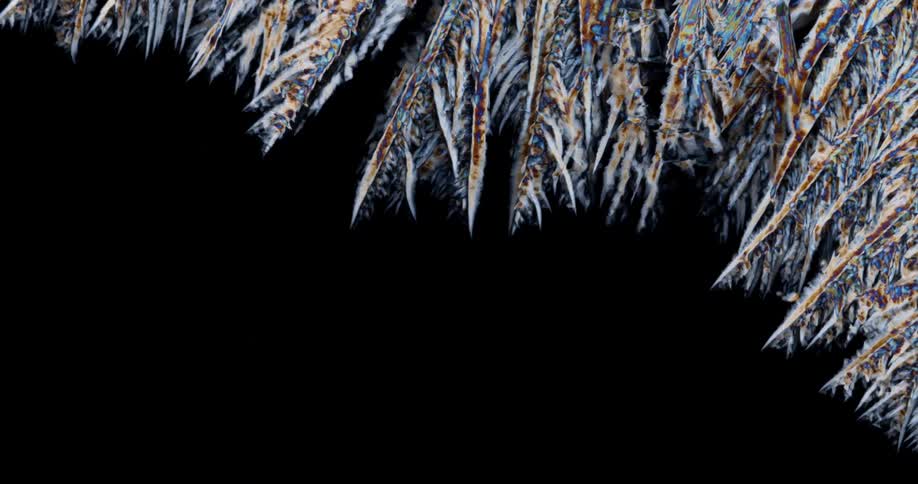 Crystalline structure forms feathery shapes while growing across black background