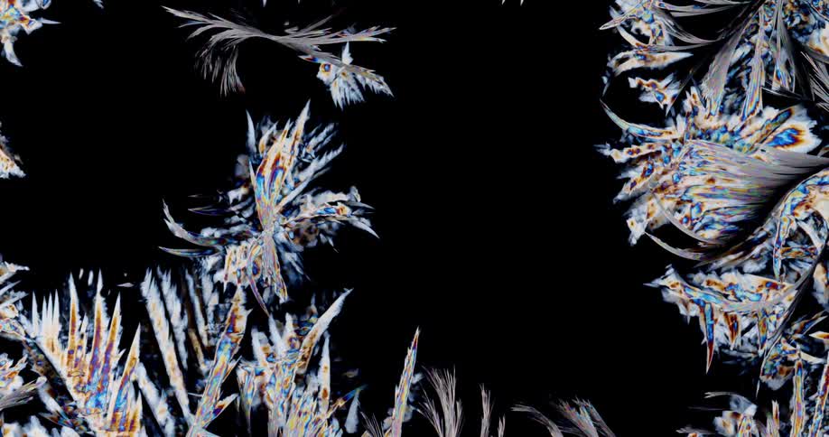 Crystalized lauric acid under polarized light