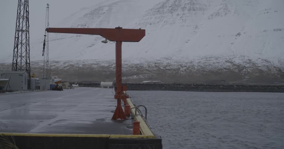 A crane on by the shore