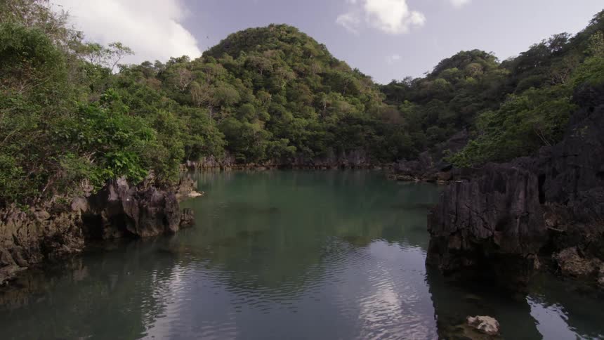 A body of water flowing between tree covered mountains