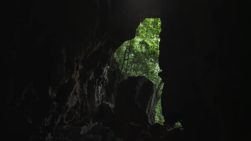 A cave with an opening leading to trees