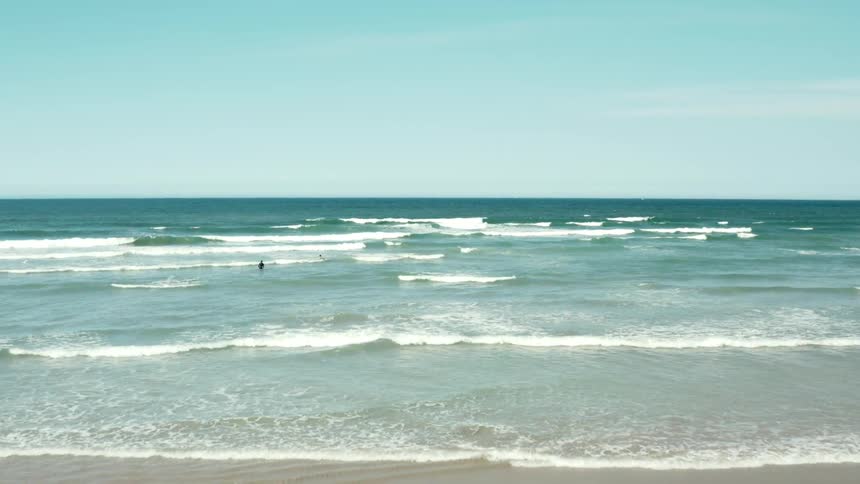Birds fly all over the shore