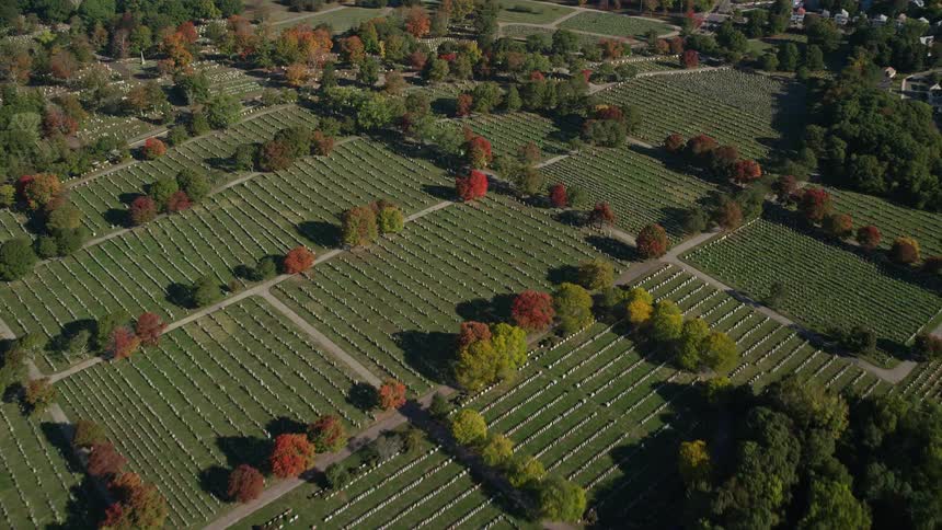 Aerial of trees and buildings in a suburban area at midday