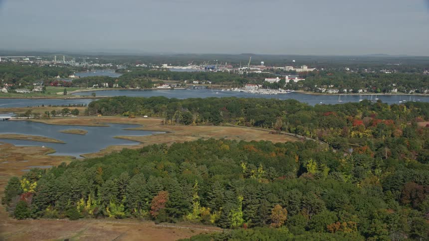 A regal island with some trees and several small rivers
