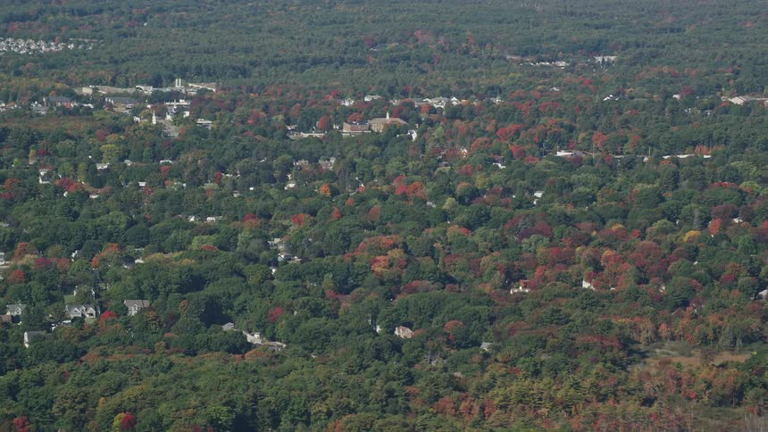The homes are surrounded by trees