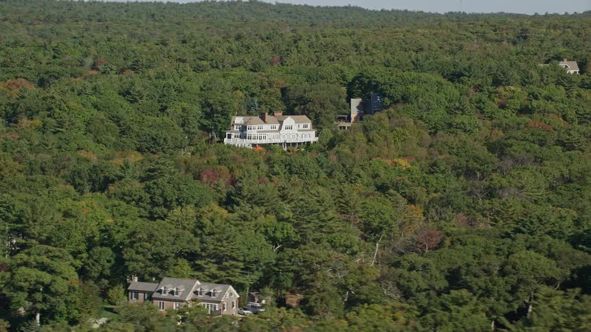 Series of building in an area completely covered with trees like a forest