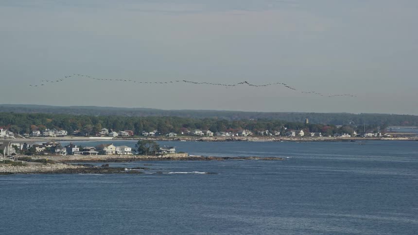 An aerial view of the community sea bank