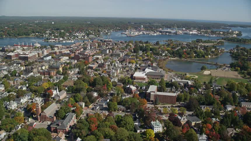 A coastal town with lots of trees and small houses and on the water there are some piers and marinas