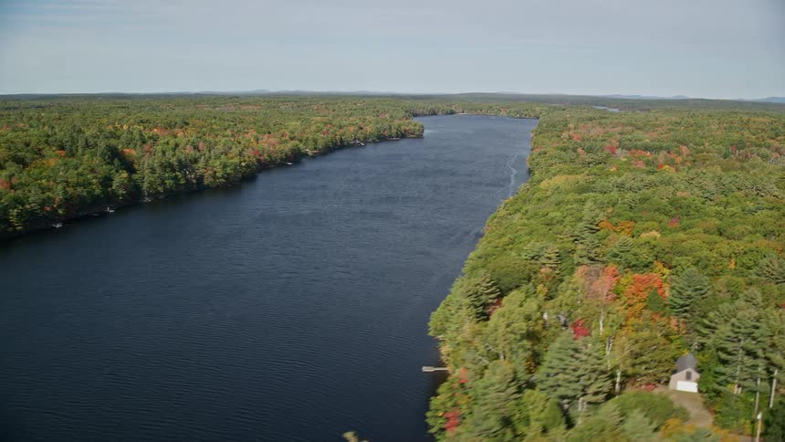 A large river runs through the forest