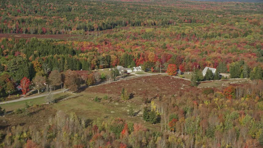 Aerial view of a brown and red forest and houses in the countryside